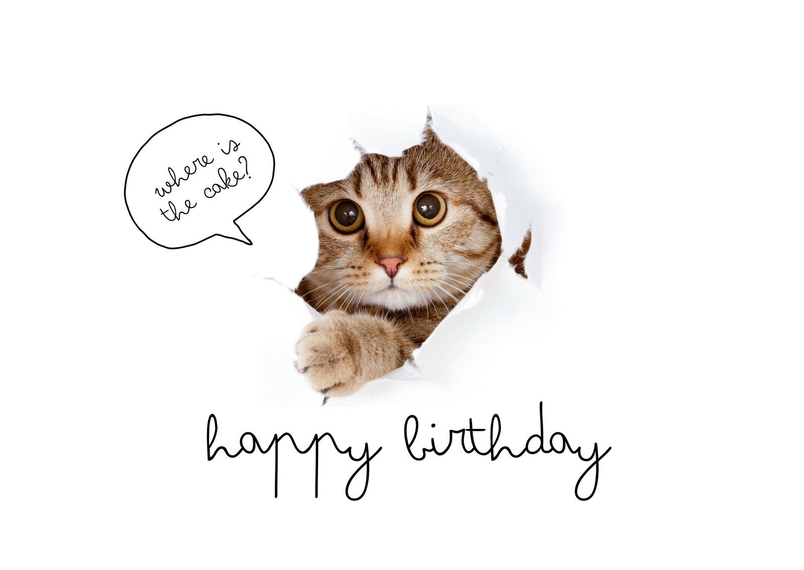 Free Printable Funny Birthday Card Templates | Canva pertaining to Free Printable Hilarious Birthday Cards