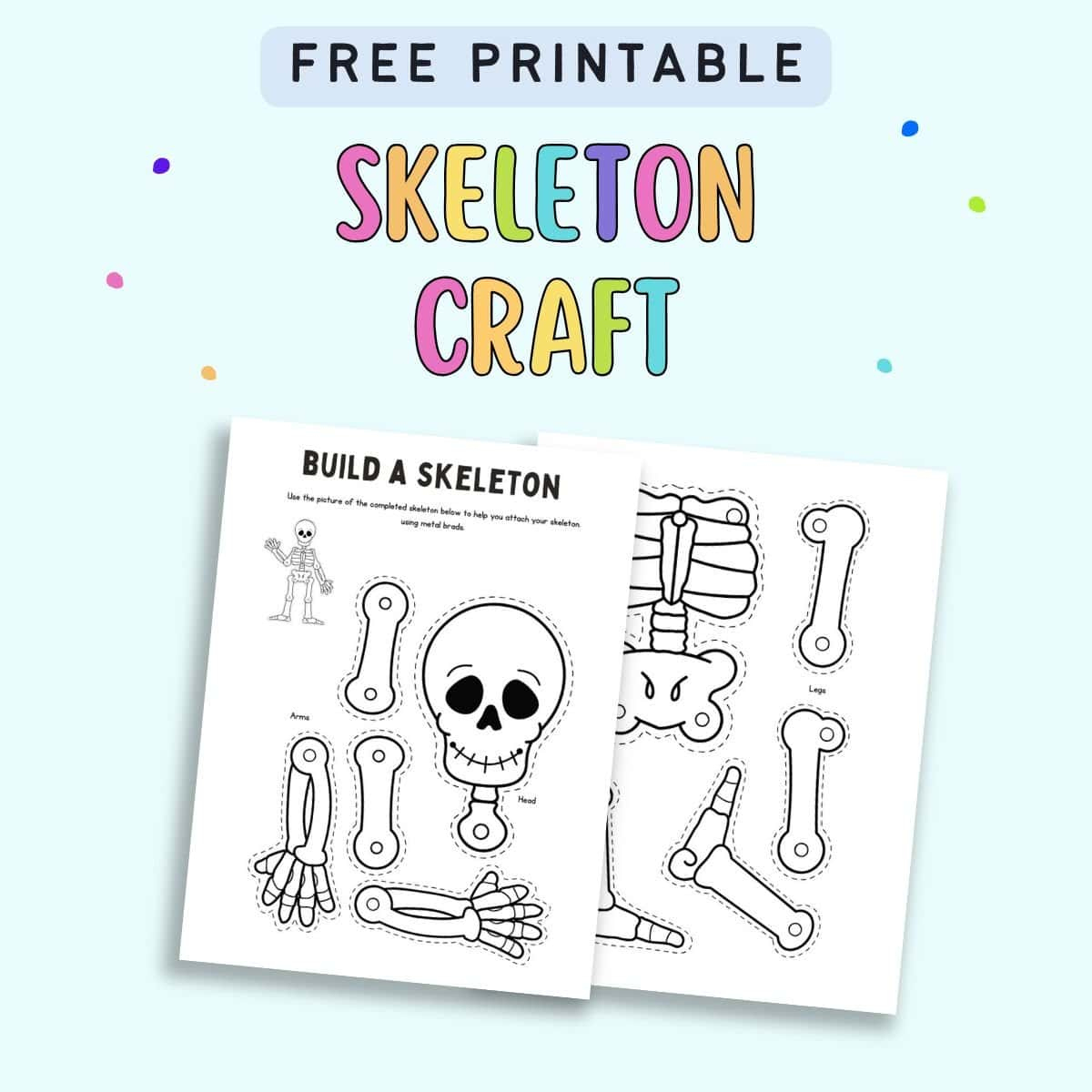 Free Printable Skeleton Craft - The Artisan Life with regard to Skeleton Printable Free Download
