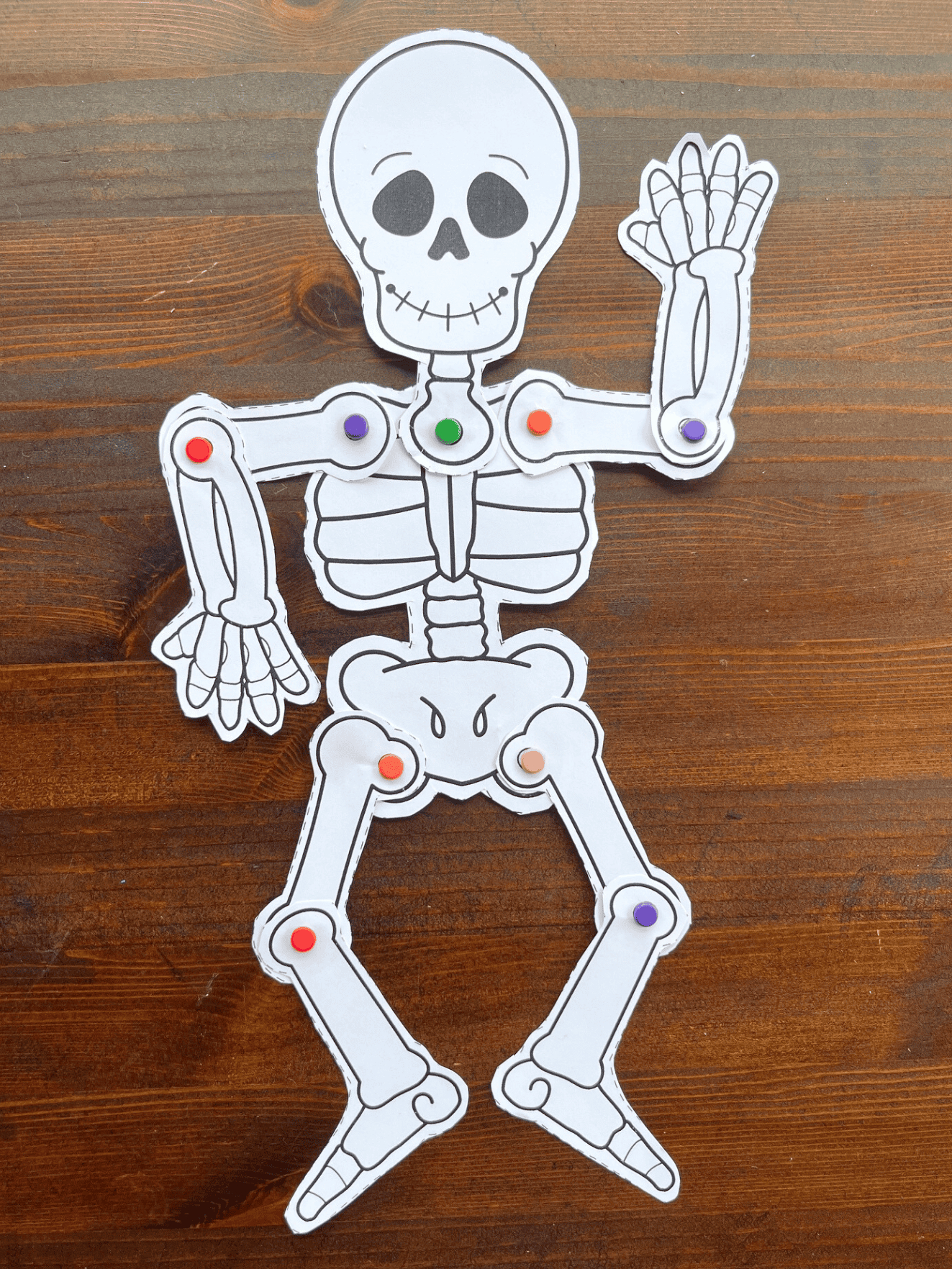 Free Printable Skeleton Craft - The Artisan Life within Skeleton Printable Free Download