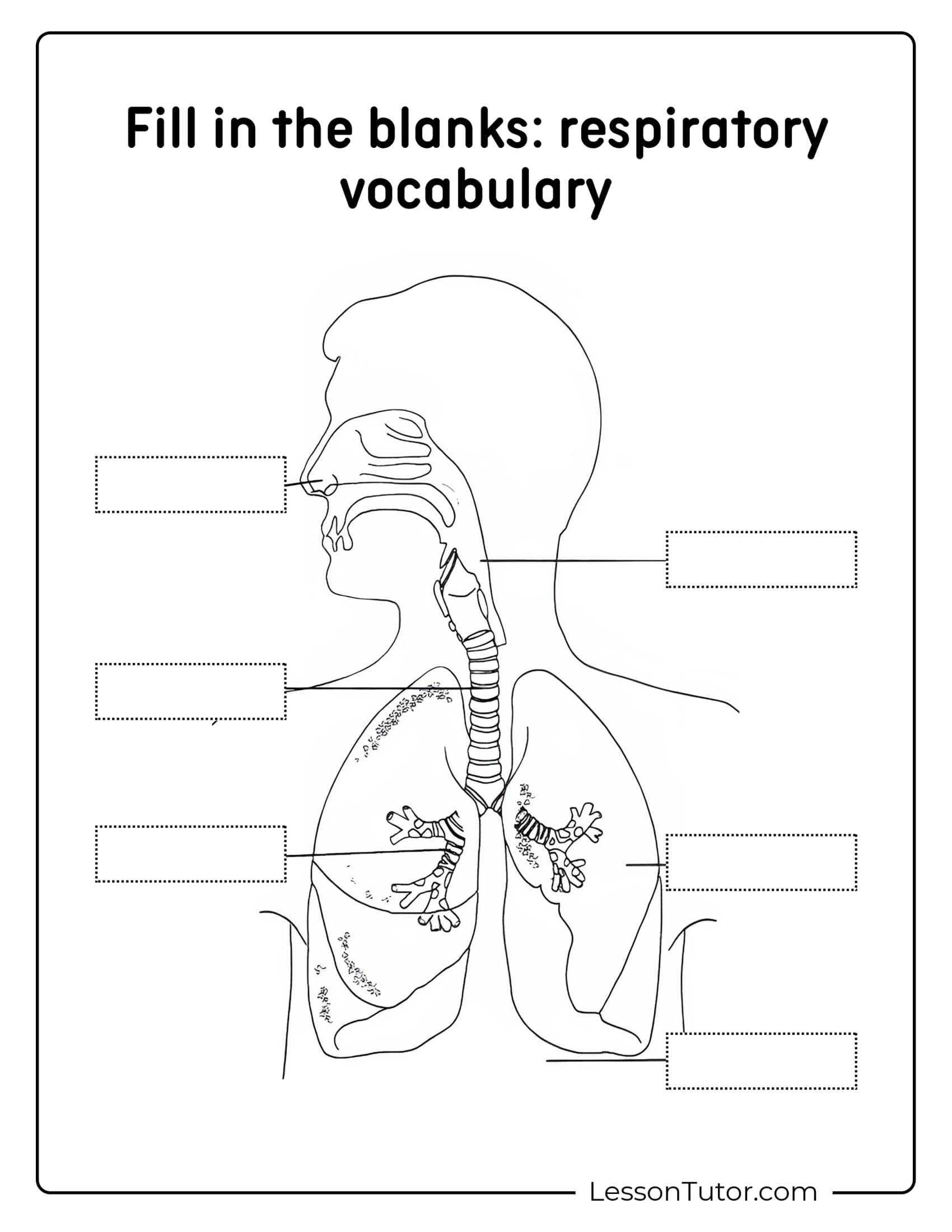 Respiratory System Worksheets - Free Coloring Pages, Pdf regarding Printable Respiratory System Diagram Unlabeled