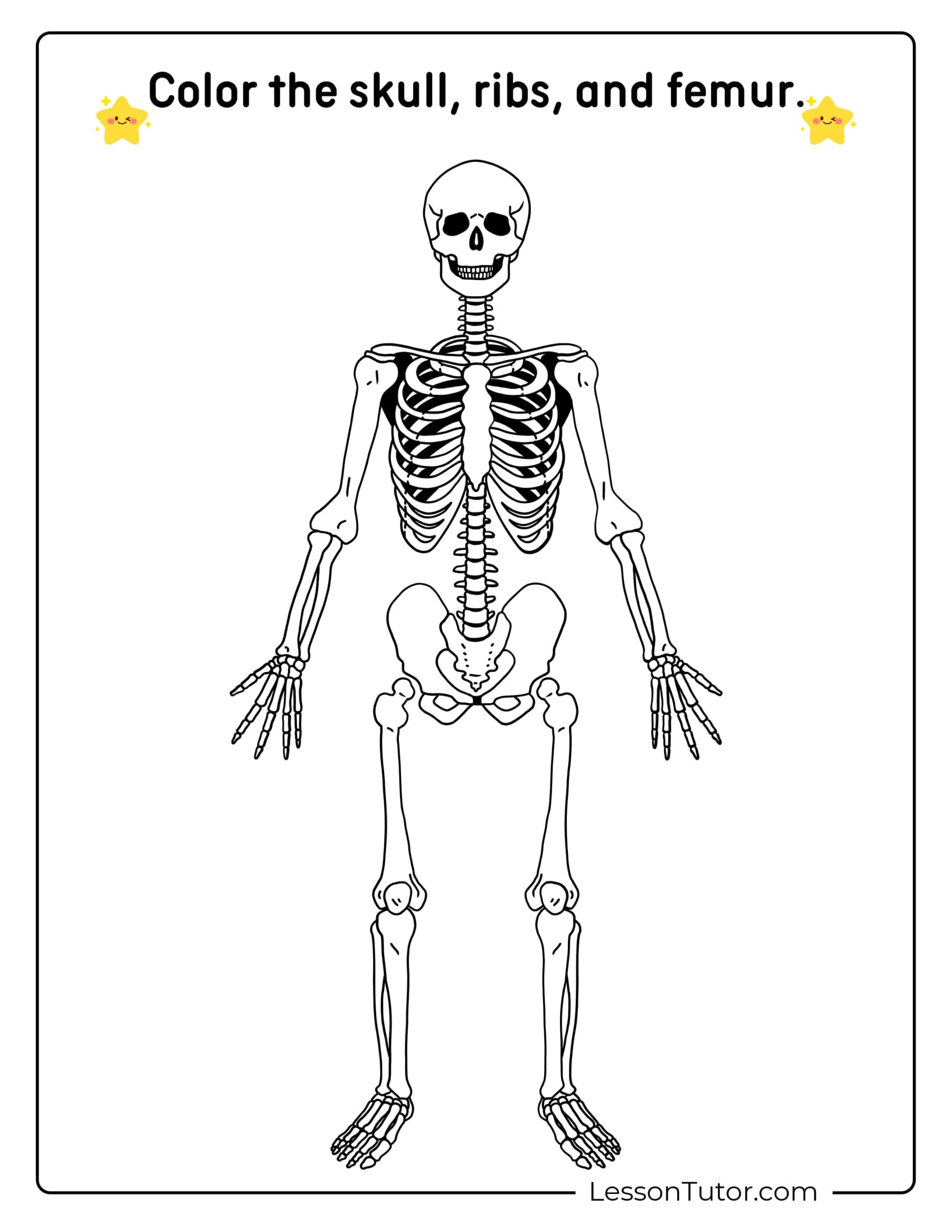 Skeleton System Worksheets - Free Coloring Pages, Pdf Printables inside Skeleton Printable Free Download