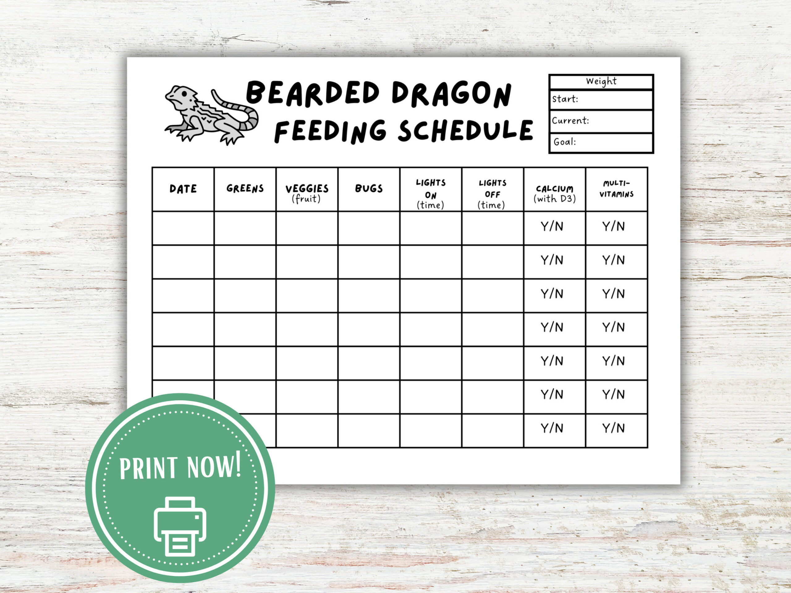 Weekly Bearded Dragon Feeding Chart - Etsy with Daily Routine Printable Bearded Dragon Food Chart